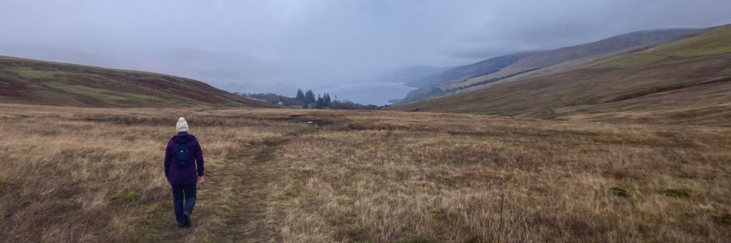 Laura Neilson banner