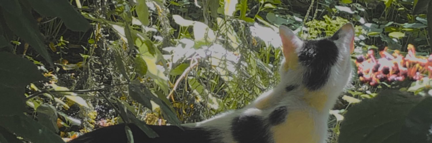 Куць's banner