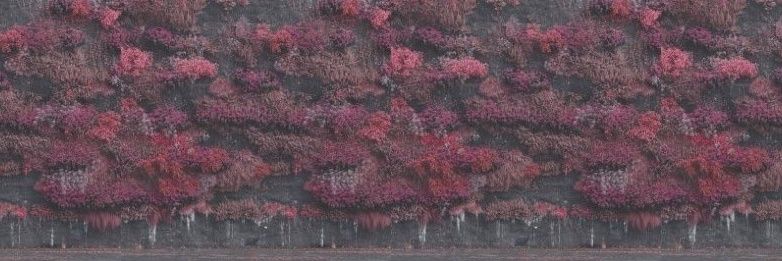 DantesEpiphany's profile banner image