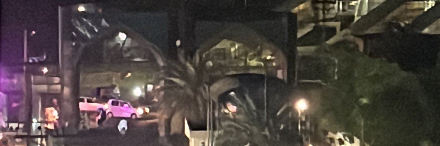 Fiazbaig's profile banner image