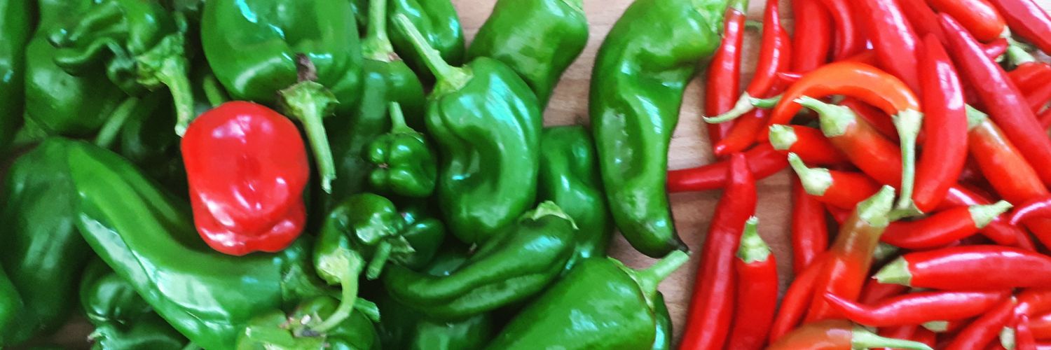 Seeds To Suit banner