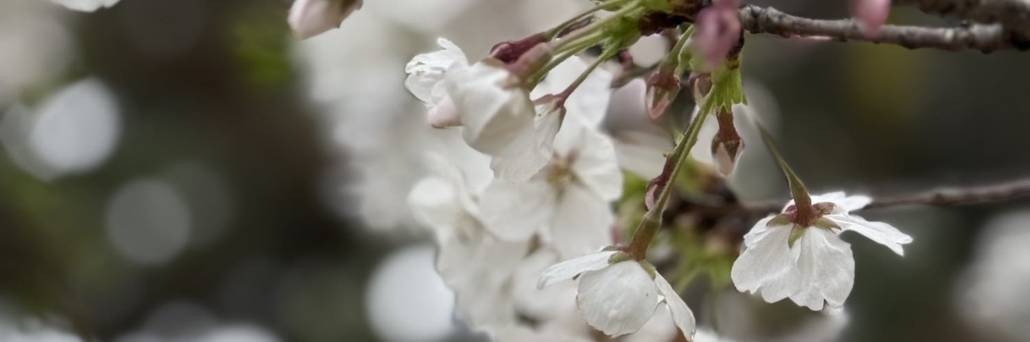 ちーくん🌱↷ banner