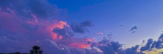 Erika. ♡ banner