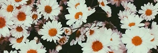 pahsuek's profile banner image