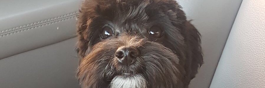 Sleeksup's profile banner image