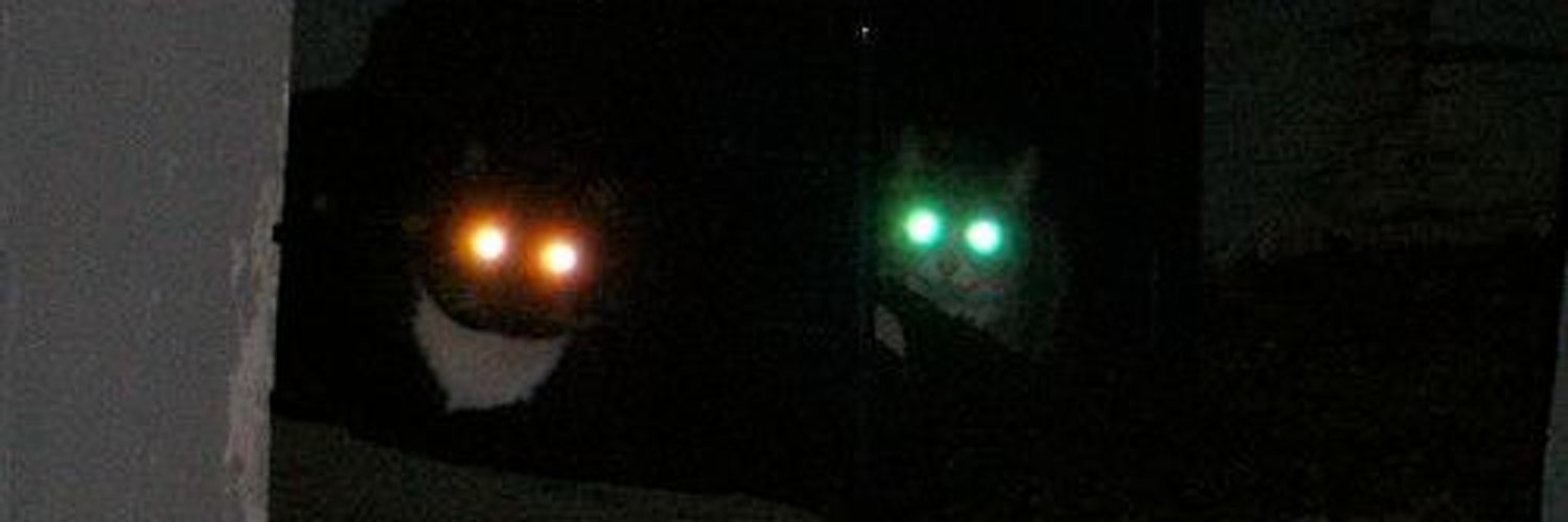 _endlessfever's profile banner image