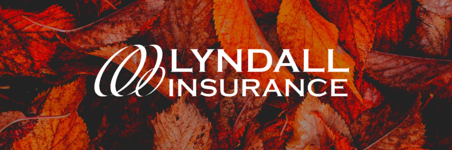 Lyndall_Ins's profile banner image