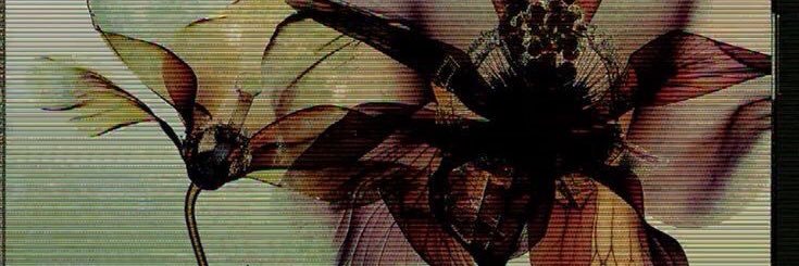 _jnkscy's profile banner image