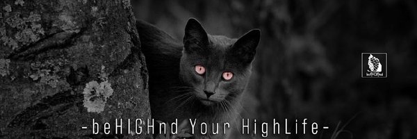 beHIGHnd_CBD38 Profile Banner
