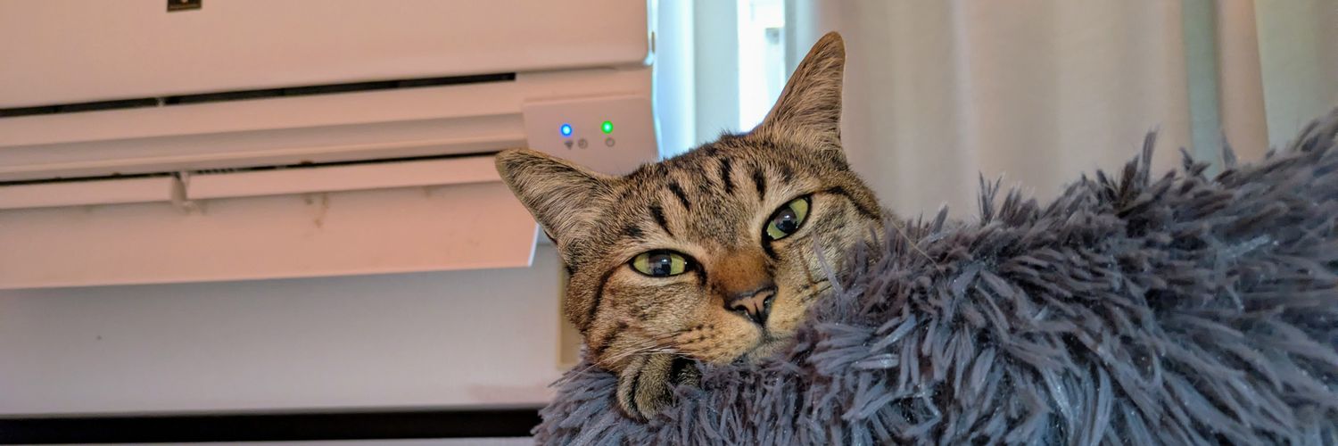 Daijiro Nozawa a.k.a.DIE banner