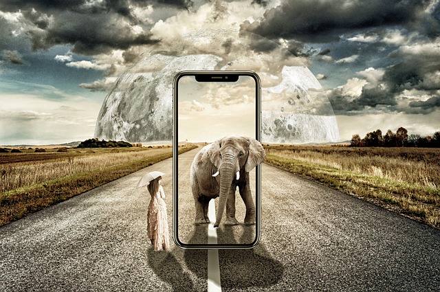 nel49765570's profile banner image
