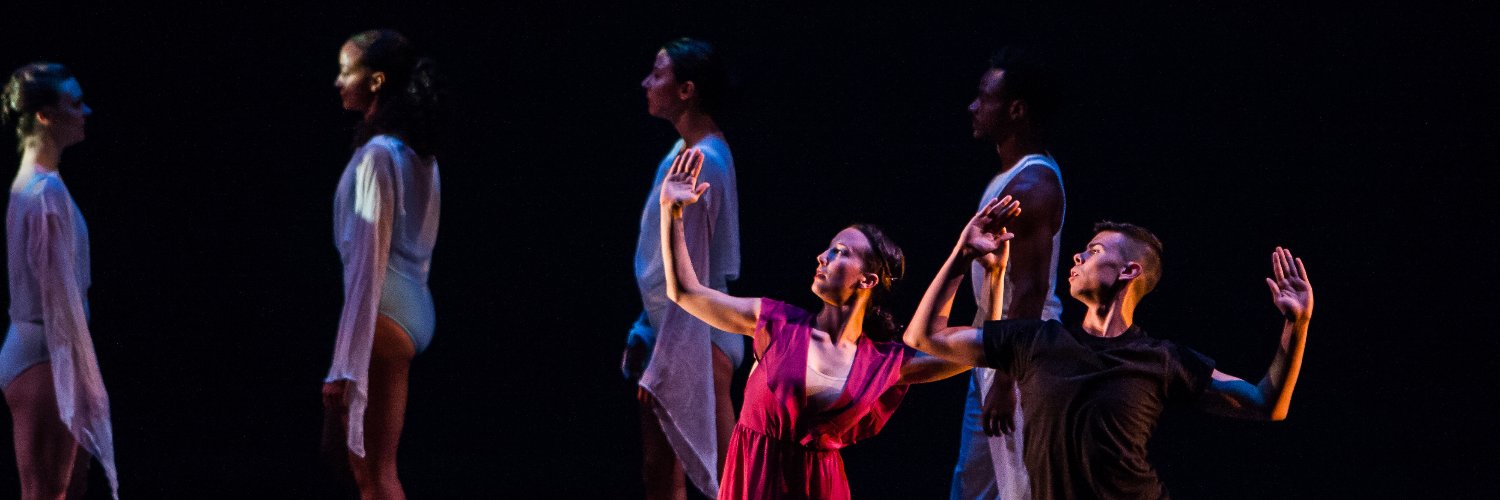 ZiruDance's profile banner image