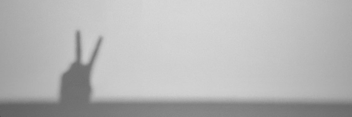 Ⓥ🐻( ꪜ )🐻てて🐻1230 banner