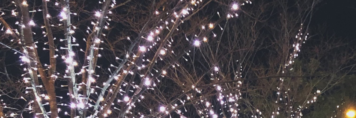 a. banner