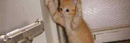 Mathilde Lelong 💡 banner