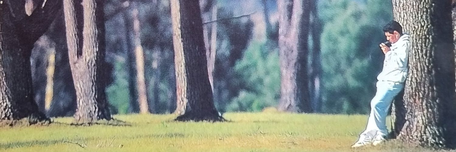 carlitossespi's profile banner image