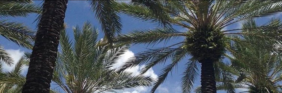 lpocne's profile banner image