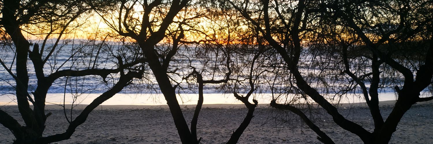 ladystou's profile banner image