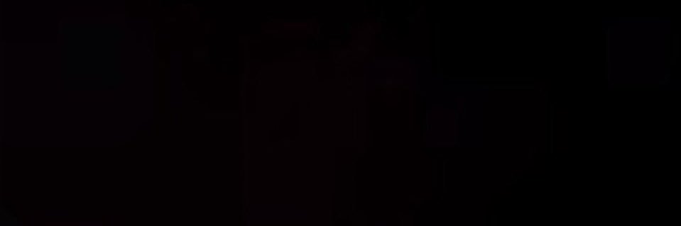 gaby's banner