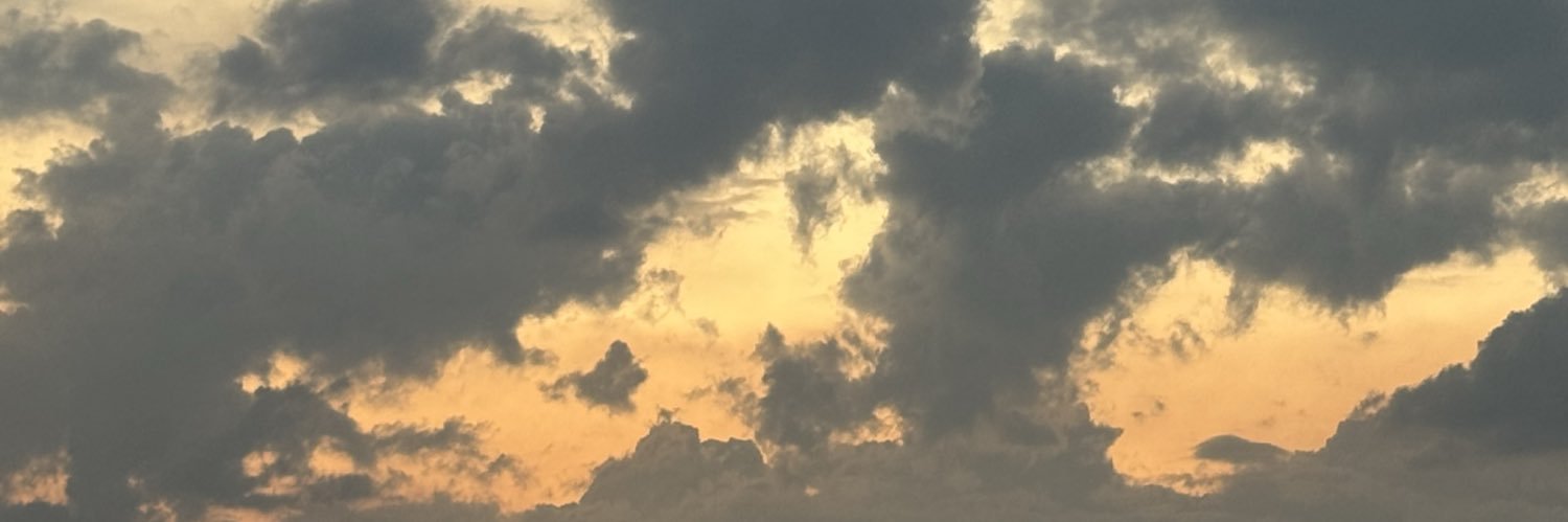 MimoVela's profile banner image