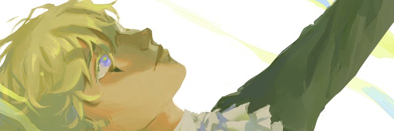 nanocullus's profile banner image