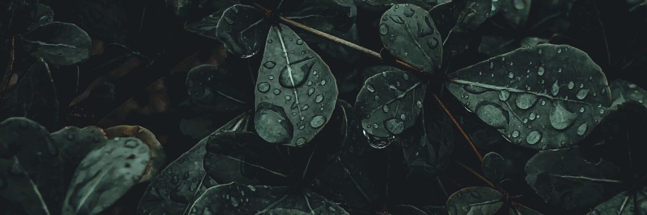 GuerreroKevin18's profile banner image