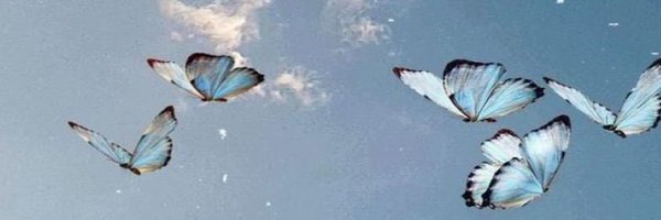 d_r_n2 Profile Banner