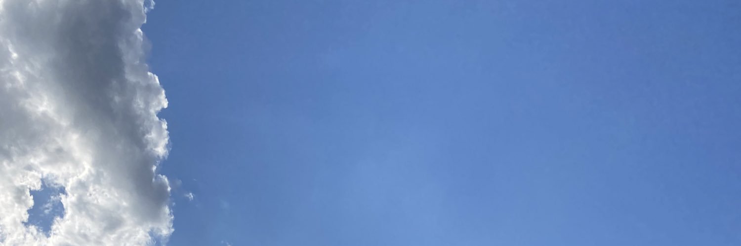sinora_'s profile banner image