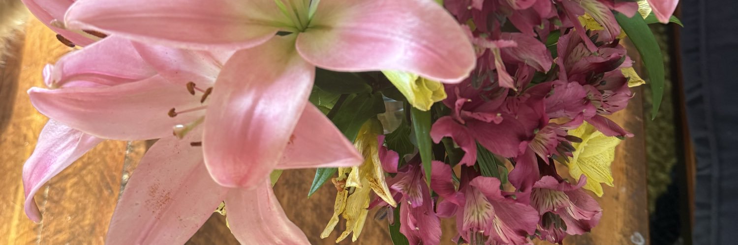 KimberlyHaberm3's profile banner image