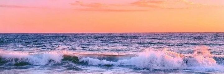 Alda5525's profile banner image