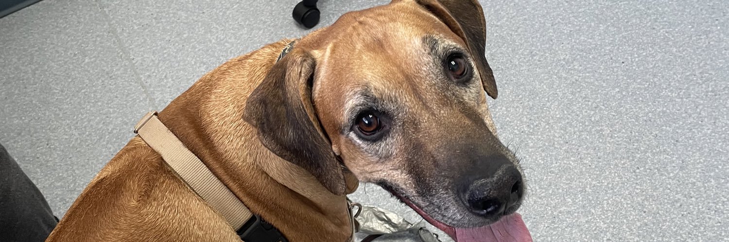 Richard Hofman banner