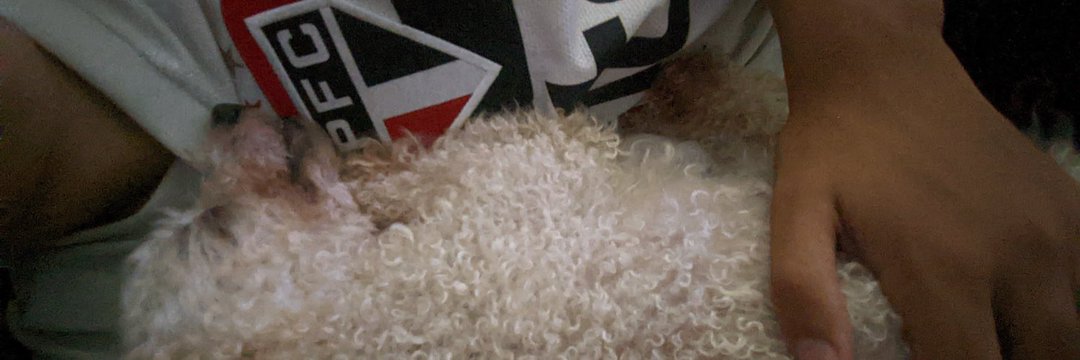 nataia #ForaTeixeira #CUCANÃO banner