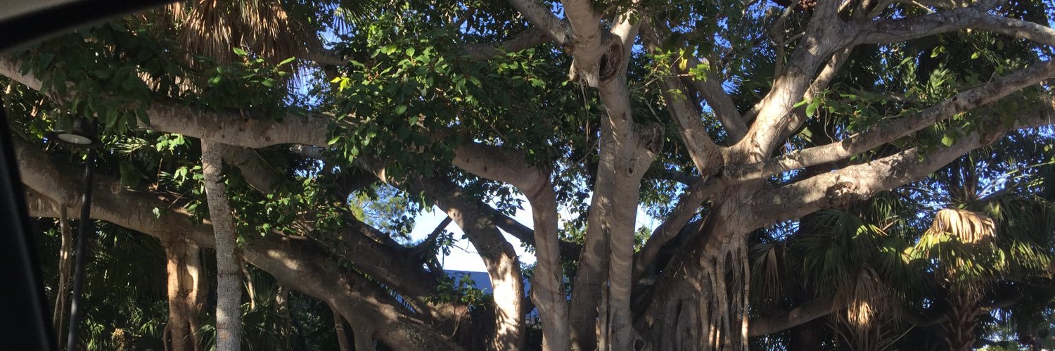 STING 🇺🇸 banner