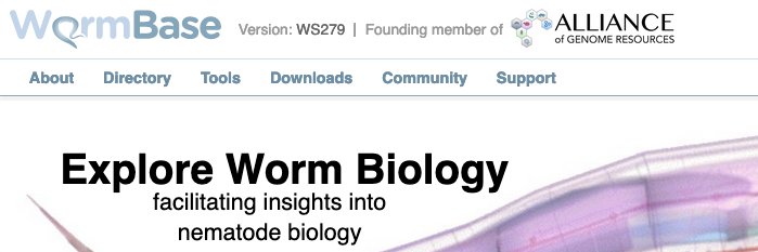 wormbase banner