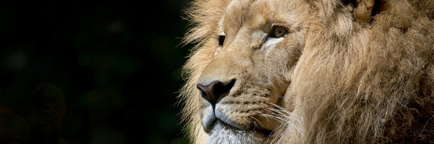 जिंदगी की किताब - RJBBT🦋🦋 banner