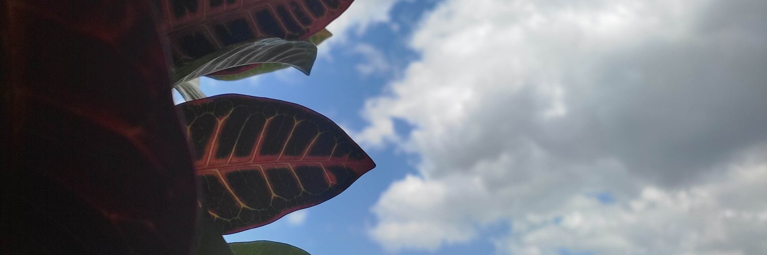 twttweet77's profile banner image