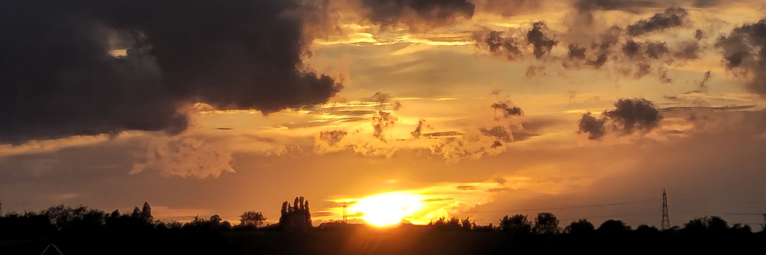 nikonsnapper9🍄 banner