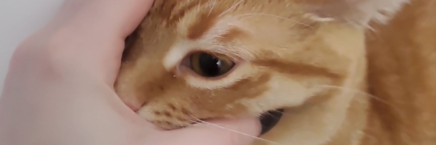 lesmarzipan's profile banner image