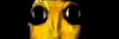 socaralho12's profile banner image