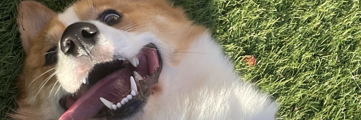 bowerscodes's profile banner image