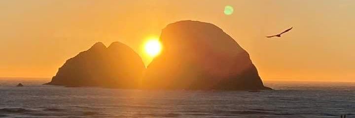 BarbaraLaBoe's profile banner image