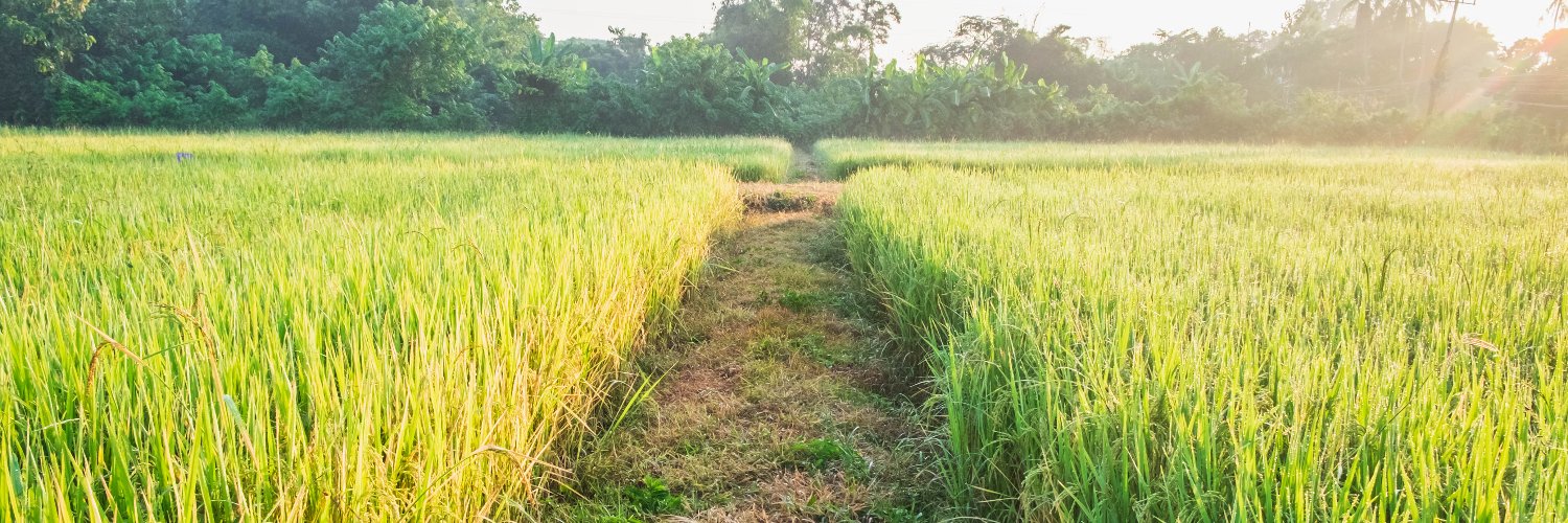 🤲 Doji Minh 🇻🇳 banner