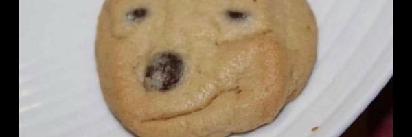 CornSeagull Profile Banner