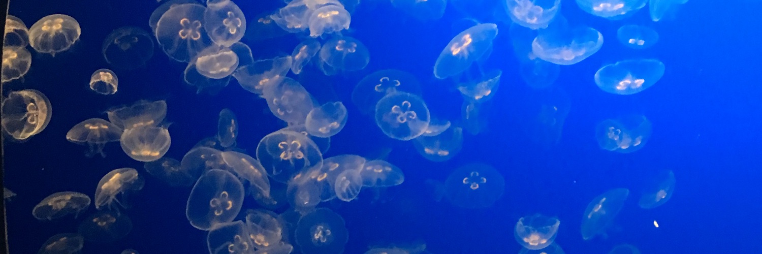 ParkerMakeWords's profile banner image