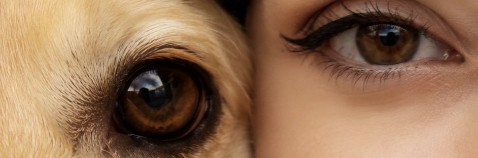 thoriche's profile banner image