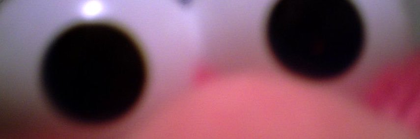 KassidyCockrill's profile banner image