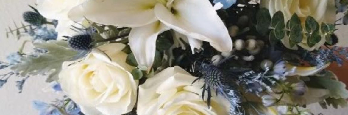 MissGoldiemore's profile banner image