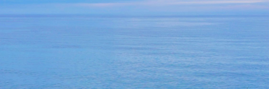 Gülcan Tarımoğlu banner