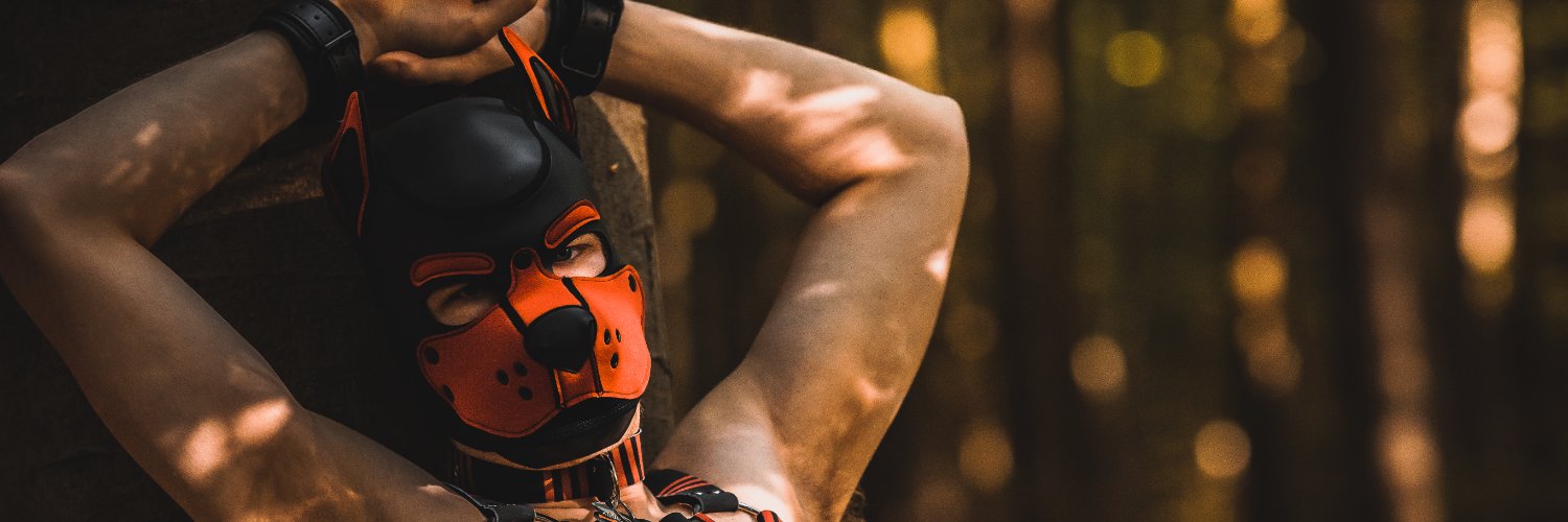 WolfPupCuru's profile banner image
