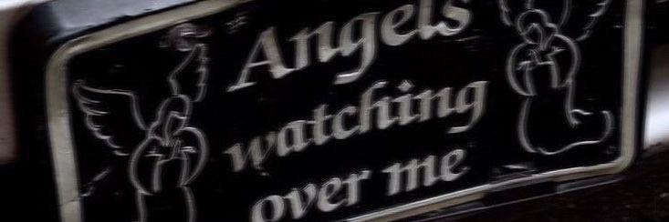 𝘀𝗰𝗮𝗿𝗱𝘆𝘆 banner